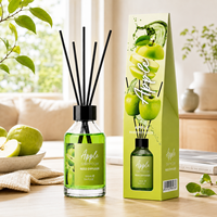 Ensemble diffuseur à bâtonnets 100 ml avec emballage personnalisé, huile diffuseur florale fruitée pour les boutiques de cadeaux et les chaînes de décoration intérieure