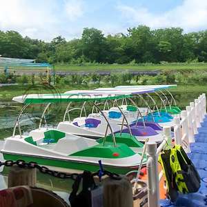 Jeux d'eau populaires 4 personnes en fibre de verre Pedalo Bateau de tourisme à vendre - Product Image 5