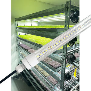 पूर्ण स्पेक्ट्रम t8 नेतृत्व वाली उगाई रोशनी हाइड्रोपोनिक खेती इनडोर ऊर्ध्वाधर माइक्रोग्रीन फार्म - Product Image 6