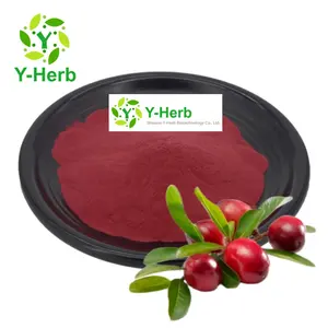 Water Soluble Food Additive Dried Cranberry Extract Supplement Powder 10:1 Cranberry Fruit Berry/Cranberry Powder