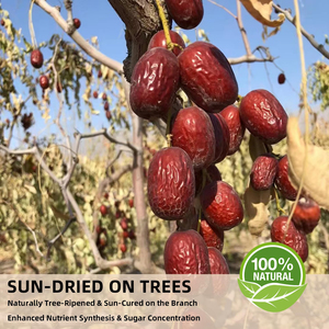 Jujubes séchées au soleil 100% naturelles, dattes rouges, fruits entiers, <span class=keywords><strong>sans</strong></span> OGM, <span class=keywords><strong>sans</strong></span> <span class=keywords><strong>gluten</strong></span>, collation saine, dattes chinoises - Product Image 4