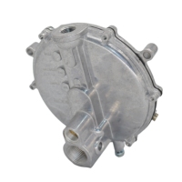 RQF-10 gaz naturel et essence Tri Kit de Conversion de carburant pour générateur onduleur GPL CNG Auto starter carburateur GPL NG pièces doubles