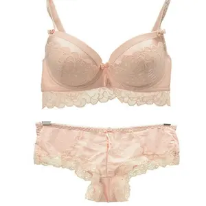 Di lusso Romantico Pizzo Sexy Spinge Verso L'alto il Reggiseno E Slip Set, Spinge Verso L'alto il Reggiseno E Biancheria Intima Slip Set, ragazze Migliore Spinge Verso L'alto il Reggiseno e Slip Set