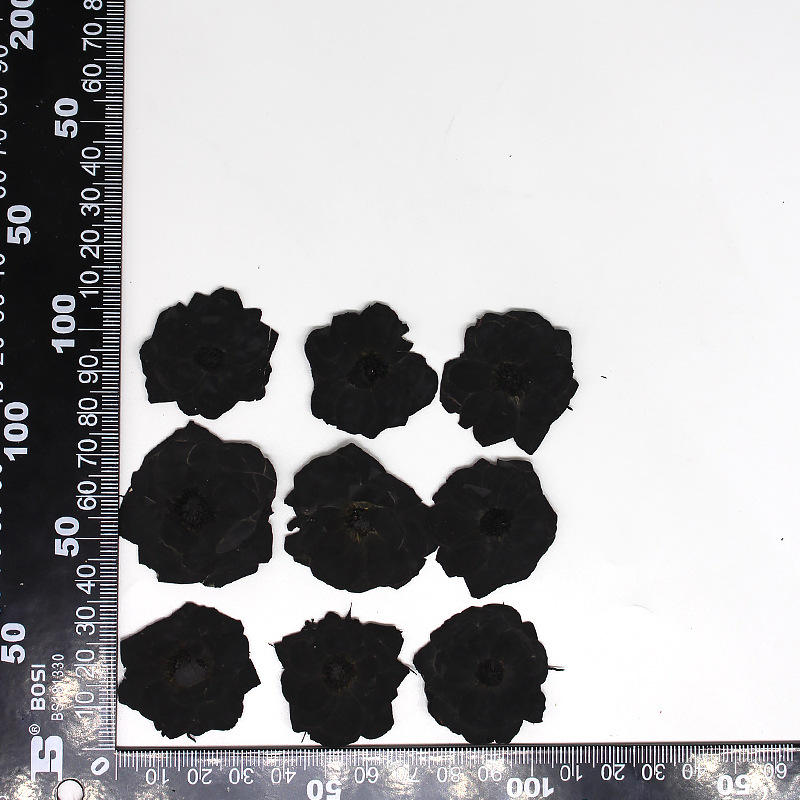 Rose MH639-Black-Little