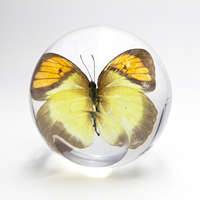 Offre Spéciale plantes boule de résine cristal cadeaux de noël ensemble idée insectes résine époxy vraie fleur artisanat