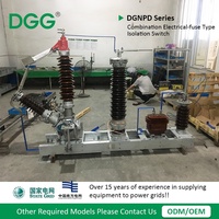 Interruptor de Aislamiento Anticontaminación DGG, Interruptor de Desconexión de Goma de Silicona para Redes Eléctricas de Gran Altitud, Seguridad en Entornos Hostiles