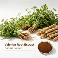 Extrait de racine de valériane naturel en poudre 0,8%-4% d'acide valérénique, séché par atomisation, qualité alimentaire, matière première pour compléments alimentaires, conditionnement en fût