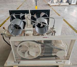 שמן חינם לחץ גבוה עם בוכנה <span class=keywords><strong>cng</strong></span> co co2 lng lpg הקשורים סינתזה מדחס גז - Product Image 3