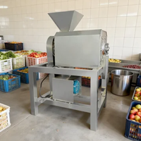 Ananas-pulper en sapmachine 380V, hoge productiviteit, motor aangedreven fruitpulp-extractor voor sap