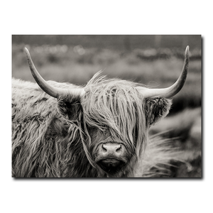Pintura de ganado de las Tierras Altas escocesas, póster de animales en blanco y negro, imagen impresa, lienzo nórdico, marco de pared, decoración artística - Product Image 1