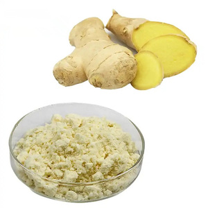 Extrait de racine de gingembre naturel <span class=keywords><strong>6</strong></span>-<span class=keywords><strong>gingerol</strong></span> en poudre soluble dans l'eau 20% de gingérol pur - Product Image 2