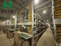 Poulailler pour poules pondeuses, cages automatiques pour volailles