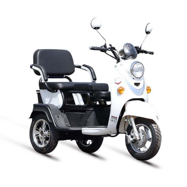 EEC Certified Outdoor Sport Electric Tricycle 500W 3-Wheel Cargo E Scooter 48V Passenger E Scooter