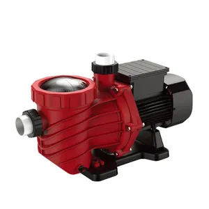 Customizable 2hp filter circulating swimming pool pump on sale