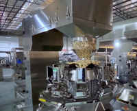 Máquina Envasadora de Alta Precisión de Tipo Lineal con 4/10/14 Cabezales Combinados para Arroz, Frutos Secos, Granos y Dulces para Pequeñas Empresas