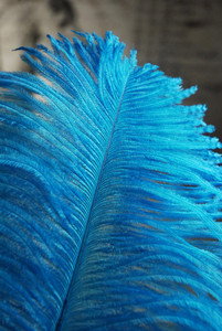 DÉCORATION DE FÊTE PLUME D'AUTRUCHE ROSE - Product Image 4