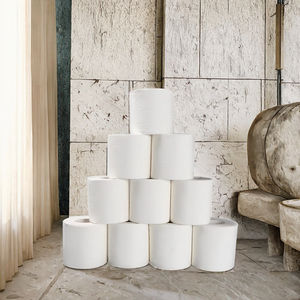 Papel Higiénico Ecológico Certificado, Suave y Resistente, de 2 Capas, Pulpa de Madera Virgen, Marca NPP, Venta al por Mayor de Fábrica para Hoteles y Hogares - Product Image 3