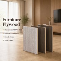 Panneaux de contreplaqué mélaminé multicouche de première qualité en eucalyptus pour meubles d'intérieur et armoires domestiques