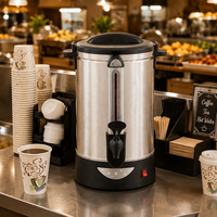 Bouilloire Électrique 30L en Acier Inoxydable, Distributeur de Boissons 1600W avec Contrôle de Température pour Restaurant
