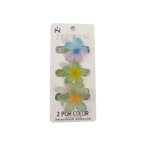 Juego de Tres Pinzas para el Cabello con Diseño de Frangipani en Gelatina Esmerilada de Dos Tonos, 2 por Color - Product Image 1