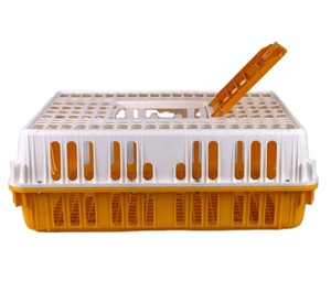 Chicken Transport Crates Plastic Cages Use in Poultry Farm