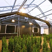 SinoGreen pièges à lumière pour cheminées de ventilation pièges à lumière pour ventilateurs muraux piège à lumière de volaille