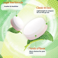 Wholesale Multi Fruity Peppermint Sugar Free Tablet Candy 23.8g Mini Metal Box Fresh Breath