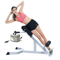 Banc de musculation pliable en métal réglable, chaise romaine, banc d'hyper-extension du dos