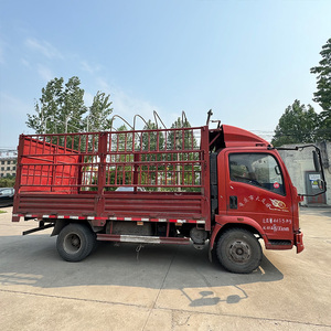 <span class=keywords><strong>Camion</strong></span> Usato Sinotruk Howo 4x2 con Cassone a Rete da 4,2m per Trasporto Bestiame/Cereali - Product Image 3