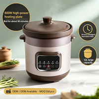 Marmite Électrique Céramique Isotherme Grande Capacité 800W Haute Puissance Durable pour Soupe et Congé OEM