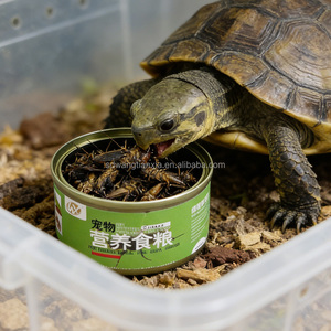 <span class=keywords><strong>Vente</strong></span> directe d'usine de <span class=keywords><strong>grillons</strong></span> noirs frais biologiques en conserve, aliments riches en protéines pour animaux de compagnie (poulets, oiseaux, tortues, poissons) - Product Image 4