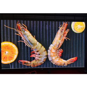 Schermo LED Portatile ad Alta Risoluzione 500x500mm, Montaggio su Traliccio, Autoportante per Concerti e Stadi - Product Image 1