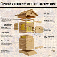 Mini Ruche Flows avec Kit de Démarrage 4 Pièces et Kit Ruche Complet 6 Cadres