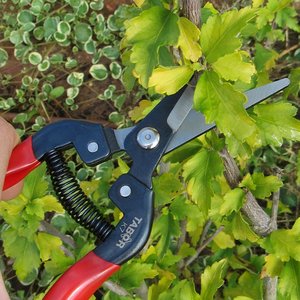 Cisailles ultra-légères pour le jardinage, l'élagage des arbres, sécateurs, ciseaux pour le jardinage, l'alpinisme et les plantes, travail pour pépinière - Product Image 2