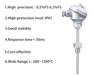 หัวเทอร์มินัล RTD ป้องกันการระเบิด IP67 ทำจากสแตนเลส สำหรับเซ็นเซอร์วัดอุณหภูมิ PT100 PT1000 (หน้าสัมผัสแพลตตินัม) PT100 OEM Temper - Product Image 4