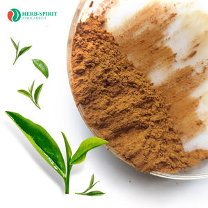 Estratto di Tè Verde Herbspirit, Polvere di Estratto di Tè Verde Solubile, Polvere di Estratto di Tè Verde Biologico Istantaneo - Product Image 3