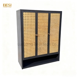 <span class=keywords><strong>Zapatero</strong></span> moderno de acero para puerta abatible, armario de <span class=keywords><strong>entrada</strong></span> ensamblado para organizador de sala de estar con acceso conveniente para puerta abatible - Product Image 2