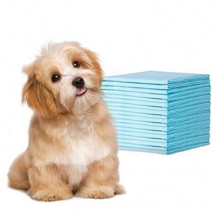 Tapis de propreté économiques pour chiots, protection 6 couches, tapis absorbants pour animaux de compagnie - Product Image 1