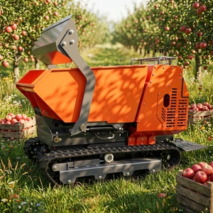 1000kg Bestselling Products Small Dump Truck <b>Tracked</b> Transporter Orchard Farm Garden Tipper Crawler <b>Dumper</b> - Product Image 1