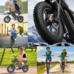 Vélo Électrique Ridstar FatBoy Personnalisable avec Logo, VTT Hybride Électrique 48V 20Ah 16 Pouces pour Enfants et Garçons de 12 Ans - Product Image 6