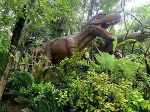 Bán nóng trong nhà công viên giải trí khủng long đi xe rất vui - Product Image 2