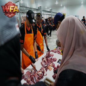 Ligne d'abattage de bétail halal personnalisée, machines de traitement automatiques avec moteur et pompe <span class=keywords><strong>pour</strong></span> abattoir commercial, haute capacité - Product Image 2