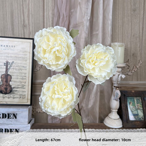 Bất Động Cảm Ứng Mẫu Đơn Lớn Đầu Lụa Chất Lượng Cao Nhân Tạo Duy Nhất Thân Cây Màu Trắng Màu Hồng Hoa Mẫu Đơn Hoa Cho Đám Cưới Đảng Trang Trí - Product Image 5
