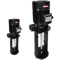 Pompe à huile pour machine-outil Bailong LCP en fonte, pompe de refroidissement pour tour, conception multi-étages, puissance 150-400W, taille compacte
