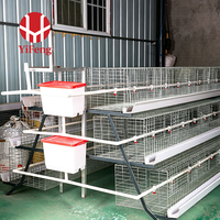 Cage d'élevage de poussins de type A haute densité avec cadre galvanisé durable pour l'équipement d'élevage de poulets de ferme avicole – Fabricant