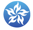 Huajing Co., Ltd. logo