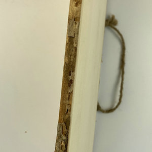 Panneau d'écorce en bois massif vierge, fait à la main, bricolage, écologique naturel inachevé, artisanat - Product Image 4