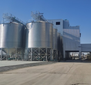 <span class=keywords><strong>Silo</strong></span> à céréales en acier galvanisé de 50T-5000T pour les fermes et les usines d'alimentation en Afrique |   Ensemble de vis pour trémie à fond plat - Product Image 4