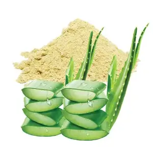Private Label OEM Service Organic Aloe Vera Extract At Low Price
