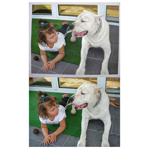 Pintura al Óleo Impresionista Personalizada Hecha a Mano, Retrato <span class=keywords><strong>de</strong></span> Niño y Perro a Partir <span class=keywords><strong>de</strong></span> Foto, Niño Abrazando a su Mascota, Arte Realista para Pared en Lienzo - Product Image 4